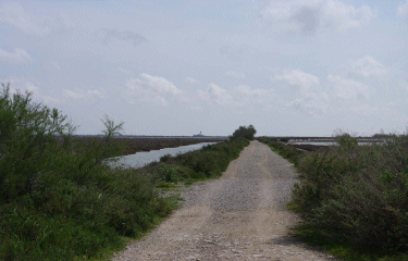 CAMARGUE - LA DIGUE A LA MER-bouches-du-rhone