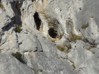 LA TOUR DES OPIES - RETOUR CRETE NORD