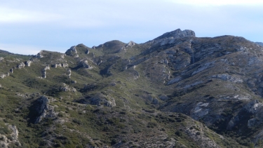 AUREILLE A LA BAUME BRIGNOLE