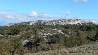 AUREILLE A LA BAUME BRIGNOLE-bouches-du-rhone