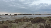DES SAINTES-MARIES-DE-LA-MER A BEAUDUC-bouches-du-rhone
