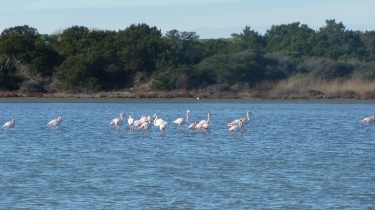 LE GRAND RADEAU-bouches-du-rhone