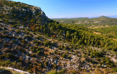 Sainte Victoire - Col des Portes    -bouches-du-rhone