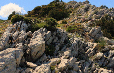 Sainte Victoire - Col des Portes    -bouches-du-rhone