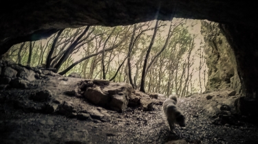 SOUS LE PIC DE BERTAGNE - UN SENTIER MAGIQUE-bouches-du-rhone