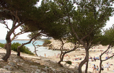 Carro-bouches-du-rhone