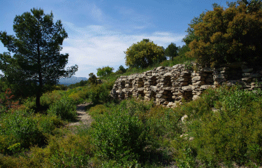 Collines salonaises-bouches-du-rhone