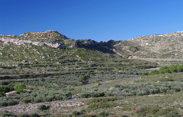 SALON - AURONS - PELISSANNE-bouches-du-rhone