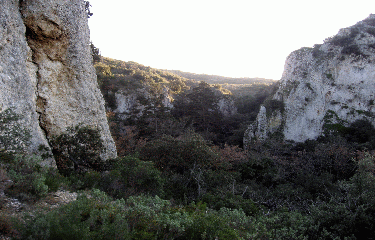 LES COLLINES DE CHARLEVAL-bouches-du-rhone
