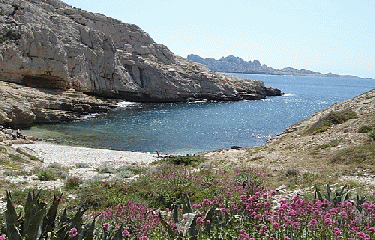 CALANQUES DE MARSEILLE-bouches-du-rhone