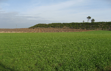 LA CROIX DE ROGNAC-bouches-du-rhone