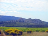 VALLONS ET PLATEAUX D EYGALIERES-bouches-du-rhone