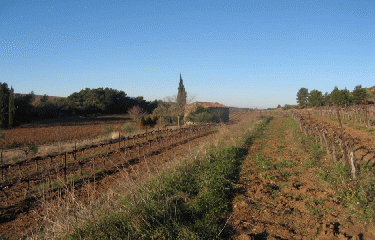 MASSIF DE REGANAS-bouches-du-rhone