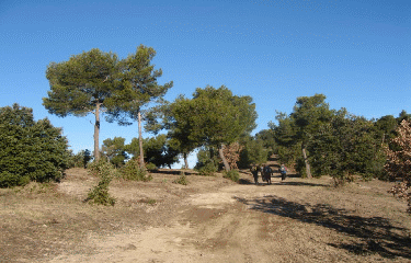 MASSIF DE REGANAS-bouches-du-rhone