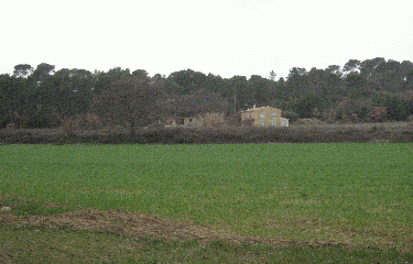 LA CRETE DES COTES-bouches-du-rhone