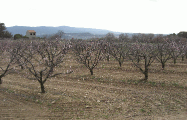 SAINT ANNE DE GOIRON-bouches-du-rhone