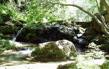 AURIOL - SOURCE DES ENCANAUX-bouches-du-rhone