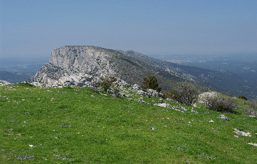 LE PIC DES MOUCHES-bouches-du-rhone