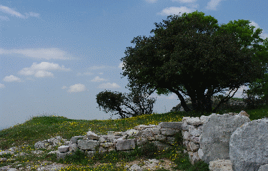 LE PIC DES MOUCHES-bouches-du-rhone