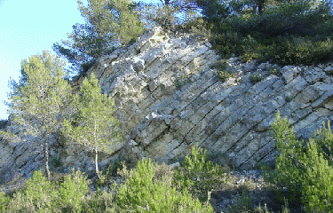 GROS CALAN-bouches-du-rhone