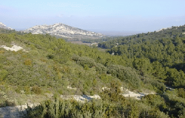 GROS CALAN-bouches-du-rhone