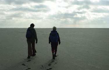 PHARE DE LA GACHOLLE - BEAUDUC-bouches-du-rhone