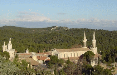 BARBENTANE - FRIGOLET-bouches-du-rhone