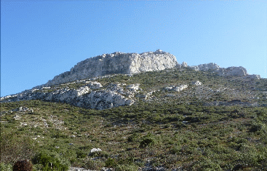 AUREILLE -bouches-du-rhone