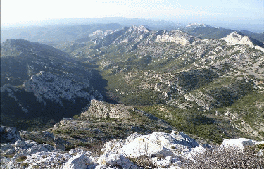 AUREILLE -bouches-du-rhone