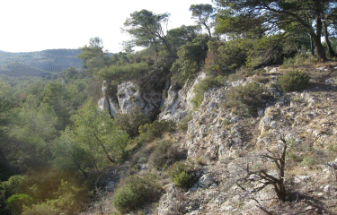 Le Talagard et le Grand Bosquet-bouches-du-rhone