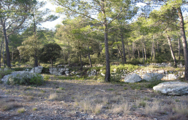 Le Talagard et le Grand Bosquet-bouches-du-rhone