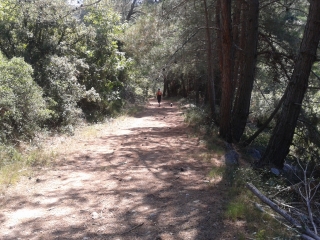 PRES DE FONTVIEIILE-bouches-du-rhone