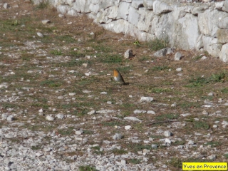 VAUTUBIERE-bouches-du-rhone