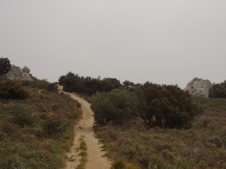 ABBAYE DE ST MICHEL DE FRIGOLET-bouches-du-rhone