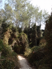 ABBAYE DE ST MICHEL DE FRIGOLET-bouches-du-rhone
