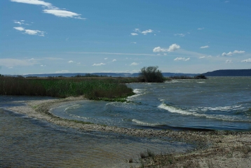 MIRAMAS-LE-VIEUX A LA PETITE CAMARGUE-bouches-du-rhone