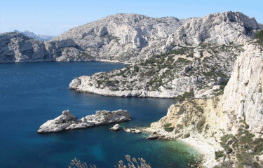 Dans les calanques-bouches-du-rhone