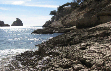Dans les calanques-bouches-du-rhone