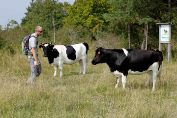 RESERVE DU COTEAU DE MESNIL SOLEIL -calvados