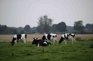 ORBEC - GR26 -calvados