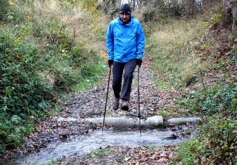 AUQUAINVILLE(2)-calvados