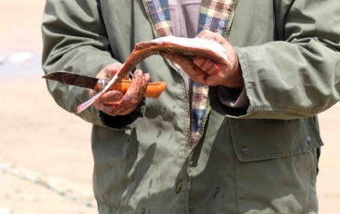 LES VACHES NOIRES-calvados