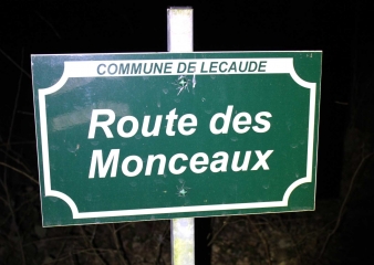 LA HOUBLONNIERE (3)-calvados