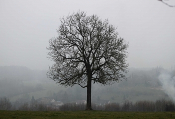 COURTONNE-LES-DEUX-EGLISES (2)-calvados