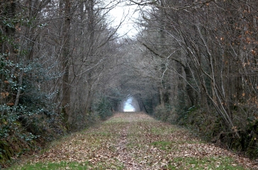 FERVAQUES (4)-calvados