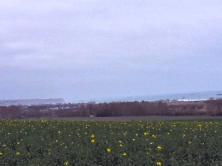 LES MONTS DE MEUVAINES-calvados