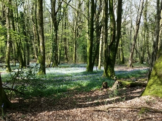 PONTECOULANT ET LA VALLEE DE LA DRUANCE-calvados
