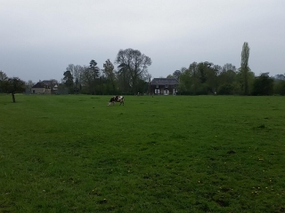 OUEZY A LA PORTE DU PAYS D AUGE-calvados