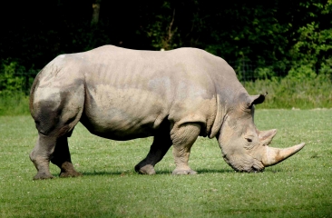 HERMIVAL-LES-VAUX-calvados