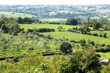 AUQUAINVILLE - LE MESNIL GERMAIN-calvados